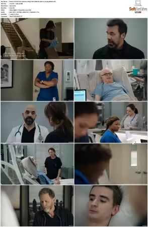 STAT 2022 S01 1080p WEB-DL AAC2.0 H264-KiNGS