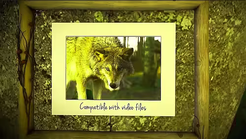 MA Photo Gallery In A Sunny Forest 357920 - Project for After Effects