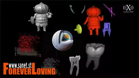 3D Slicer Masterclass: X-Ray CT &amp; Micro CT Image Analysis