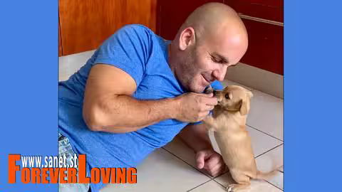 Puppy Training Basics: A Practical Guide For The First Weeks
