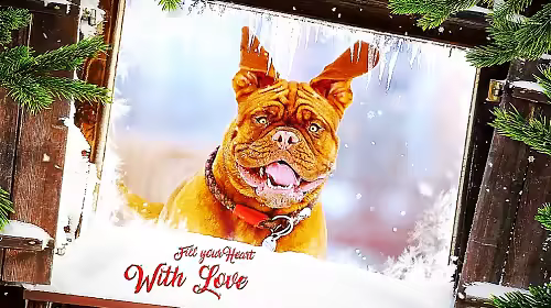 MA Christmas Slideshow - Frozen 149082 - Project for After Effects