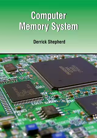 Computer Memory System