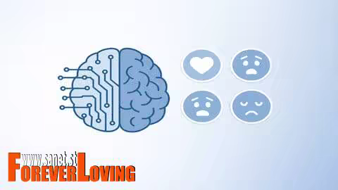 Emotional Side Of Cybercrime