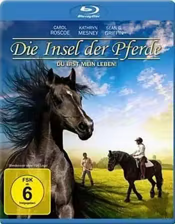 The Dark Horse 2008 1080p BluRay H264-World