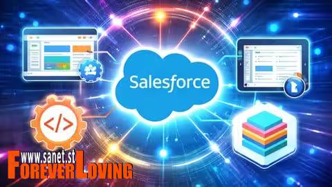 Salesforce OmniStudio Development - Hands-On Guide