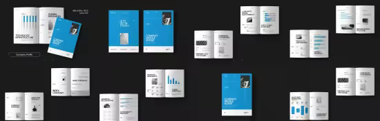 EE - White Blue Modern Minimalist Company Profile 7V56FU6