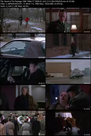 The Package 1989 1080p YT WEB-DL AAC 2.0 H264-PiRaTeS