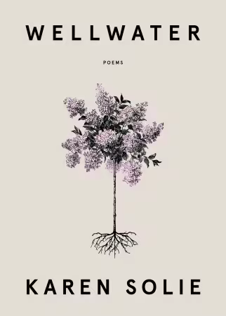 Wellwater: Poems