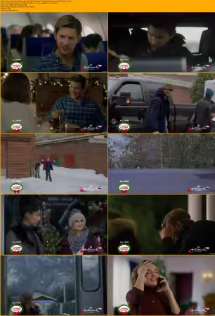 Hallmark 2020 Movie Collection Mixed 720p x264-Solar