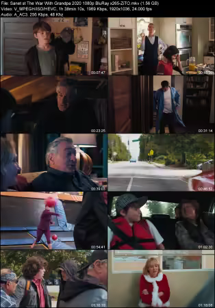 The War With Grandpa 2020 1080p BluRay x265-ZiTO