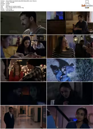 Walker 2021 S01 1080p AMZN Webrip DDP5.1 x265-Vialle
