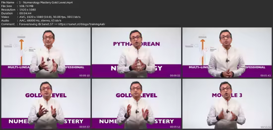 Multi-Lineage Numerology Professional Mastery