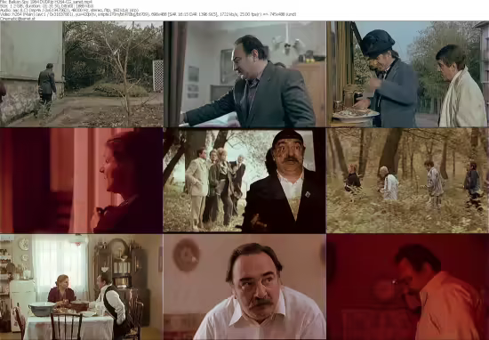 Balkan Spy 1984 DVDRip H264-CG
