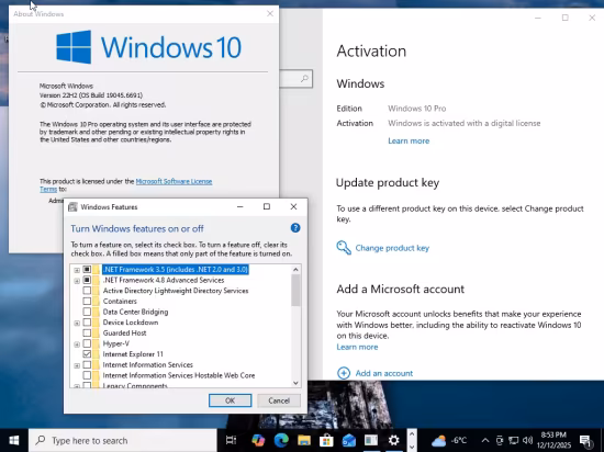Windows 10 22H2 build 19045.6691 AIO 16in1 Preactivated December 2025