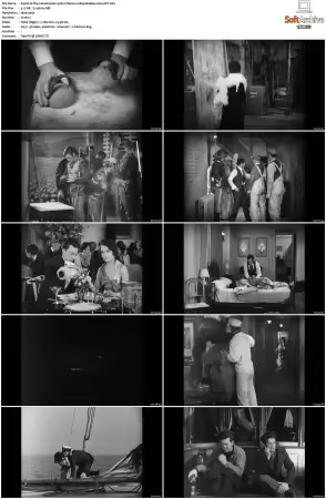 The Cameraman 1928 Criterion 1080p BluRay x264-OFT
