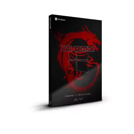 Windows 11 Pro 25H2 Build 26200.7462 MSI Edition