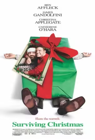 Surviving Christmas 2004 1080p BluRay x265-ZiTO