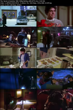 Gremlins 1984 1080p BluRay x265-ZiTO