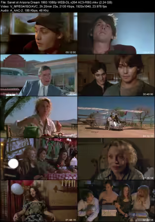 Arizona Dream 1993 1080p WEB-DL x264 AAC-RBG