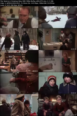 A Christmas Story 1983 1080p BluRay x265-ZiTO