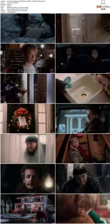 Home Alone 1990 UHD BluRay 2160p DDP 5.1 DV HDR x265-hallowed