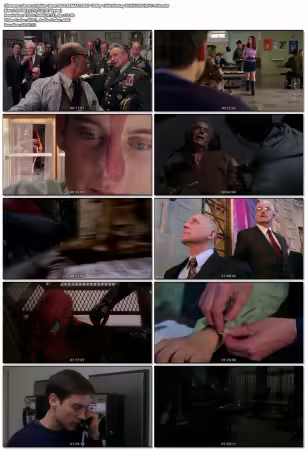 Spider-Man 2002 REMASTERED 1080p 10bit BluRay 8CH X265 HEVC-PSA
