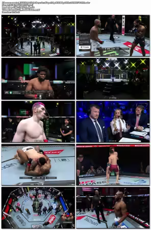 UFC Fight Night Royval vs Kape 720p WEBRip 2CH x265 HEVC-PSA