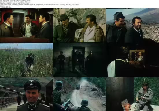 The Bridge 1969 1080p WEBRip H264-Lutto.mkv