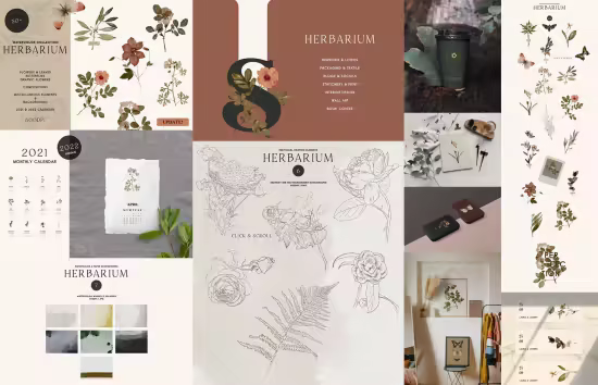 Watercolor Herbarium Pressed Dry Flowers vol.1