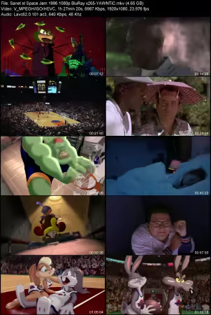 Space Jam 1996 1080p BluRay x265-YAWNTiC
