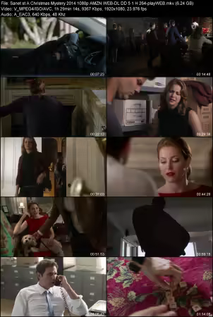 A Christmas Mystery 2014 1080p AMZN WEB-DL DD 5.1 H264-playWEB