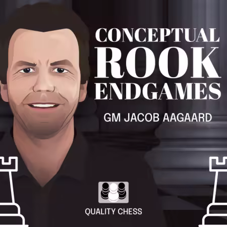 Conceptual Rook Endgames