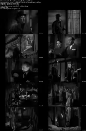 The Black Cat 1941 1080p BluRay x264-OFT