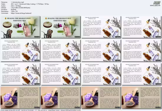 Healing-The Shaman's Way Using Essential Oils