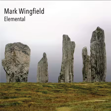 Mark Wingfield - Elemental (2025) (Hi-Res) FLAC/MP3