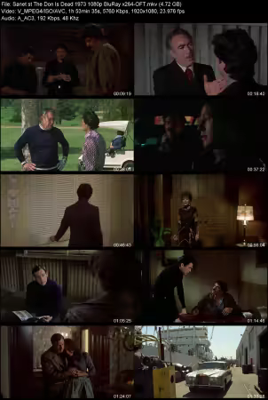 The Don Is Dead 1973 1080p BluRay x264-OFT