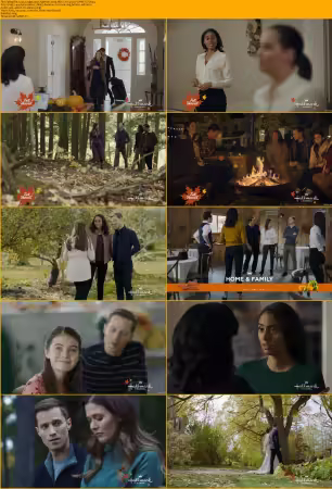 Hallmark 2020 Movie Collection Mixed 720p x264-Solar