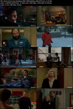 Surviving Christmas 2004 1080p BluRay x265-ZiTO