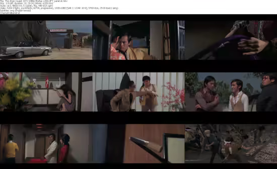 The Angry Guest 1972 1080p BluRay x264-OFT