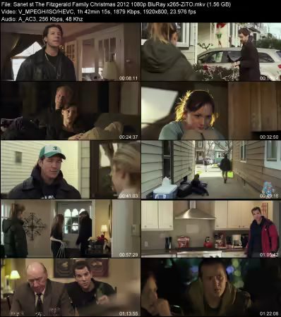 The Fitzgerald Family Christmas 2012 1080p BluRay x265-ZiTO
