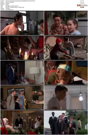 The Hotel New Hampshire 1984 1080p BDRip DTS H264-PoPCoRn