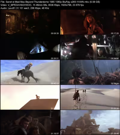 Mad Max Beyond Thunderdome 1985 1080p BluRay x265-YAWN