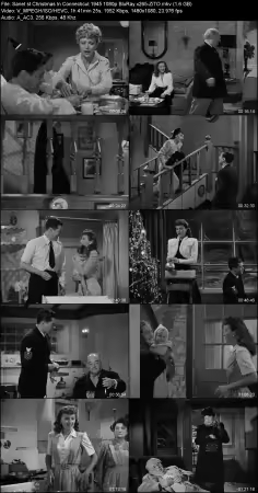 Christmas In Connecticut 1945 1080p BluRay x265-ZiTO
