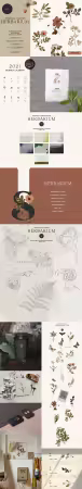 Watercolor Herbarium Pressed Dry Flowers vol.1
