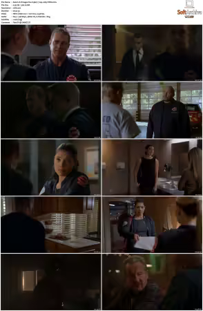 Chicago Fire S13 720p x265-TiPEX