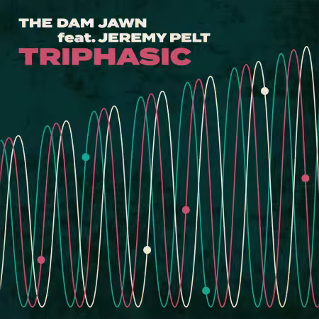 The Dam Jawn - Triphasic (2025)