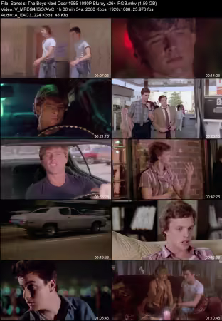 The Boys Next Door 1985 1080P Bluray x264-RGB