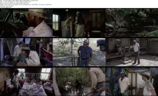 The Enchanted 1984 1080p WEB H264-AMORT