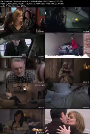 A Christmas Snow 2010 1080p BluRay x265-ZiTO