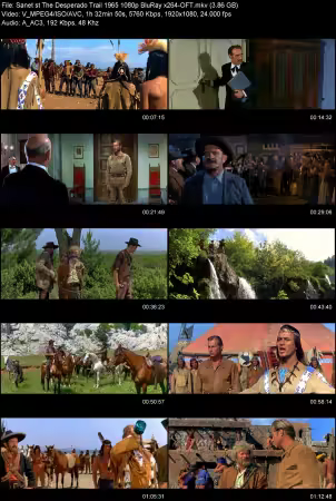 The Desperado Trail 1965 1080p BluRay x264-OFT